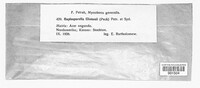 Image Associated With the Occurence